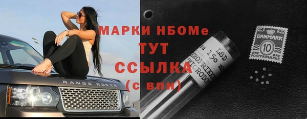 сатива Нягань