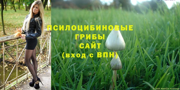 круглые Няндома