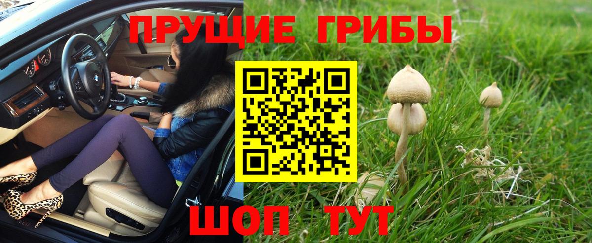 Псилоцибиновые грибы мухоморы  Галлюциногенные грибы прущие грибы  Саяногорск  Вход с VPN 